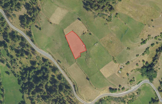 Mals/Planeil: Landwirtschaftliches Grundstück mit ca. 2.670 m² zu verkaufen Mals/Planeil: Landwirtschaftliches Grundstück mit ca. 2.670 m² zu verkaufen