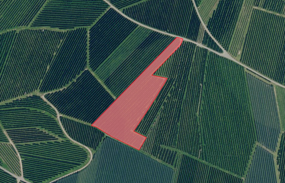 Morter: Obstwiese mit ca. 7.400 m² zu verkaufen Morter: Obstwiese mit ca. 7.400 m² zu verkaufen
