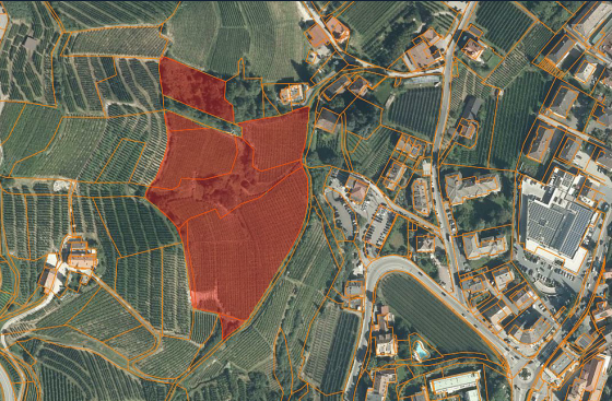 Lana: Weingut mit ca. 22.600 m² zu verkaufen Lana: Weingut mit ca. 22.600 m² zu verkaufen