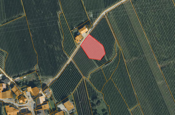 Tabland: Obstwiese mit ca. 1.750 m² zu verkaufen Tabland: Obstwiese mit ca. 1.750 m² zu verkaufen