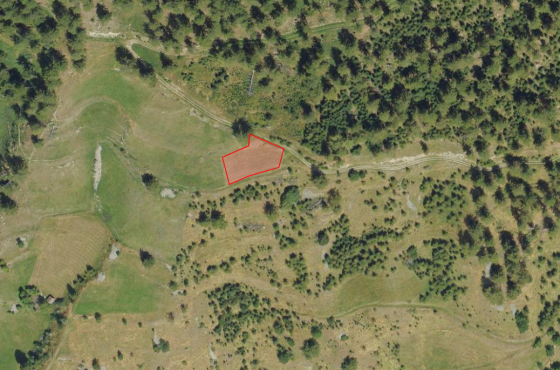 Mals/Planeil: Weide mit ca. 1.000 m² zu verkaufen Mals/Planeil: Weide mit ca. 1.000 m² zu verkaufen