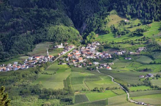 Laas / Tschengls: Obstbaufähige Wiese zu verkaufen