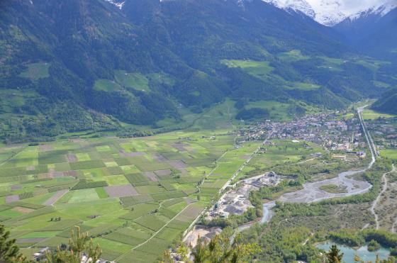Prad am Stilfserjoch: Obstbaufähige Wiese zu verkaufen Prad am Stilfserjoch: Obstbaufähige Wiese zu verkaufen