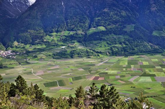 Prad am Stilfserjoch: Obstbaufähiges Grundstück mit ca. 8.800 m² zu verkaufen