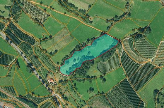 Schluderns: landwirtschaftliches Grundstück am Dorfrand Schluderns: landwirtschaftliches Grundstück am Dorfrand