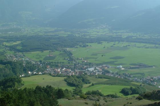Wiese in Schluderns Wiese in Schluderns