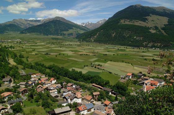 Wiese zwischen Schleis und Mals zu verkaufen Wiese zwischen Schleis und Mals zu verkaufen