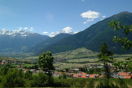Wiese zwischen Tartsch und Mals Wiese zwischen Tartsch und Mals