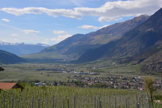 Baugrund für Ihr Traumhaus mit einzigartigen Ausblick in Tarsch Baugrund für Ihr Traumhaus mit einzigartigen Ausblick in Tarsch