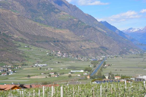 Baugrund im Gewerbegebiet von Tschars Baugrund im Gewerbegebiet von Tschars