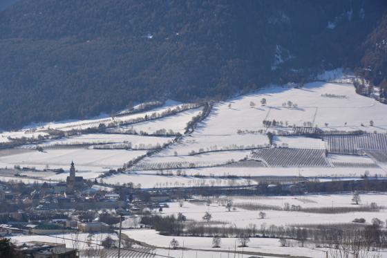 Glurns: Wiese mit 4.672 m² zu verkaufen Glurns: Wiese mit 4.672 m² zu verkaufen