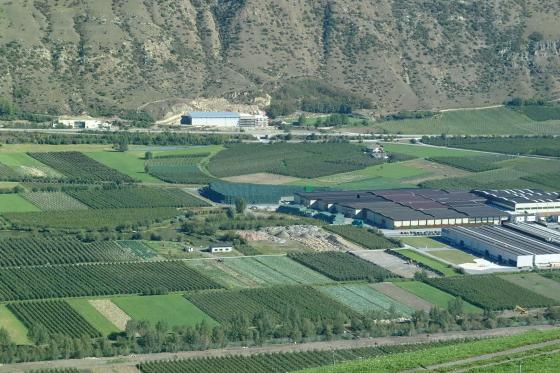 Laas: Obstwiese mit 2.000 m² zu verkaufen Laas: Obstwiese mit 2.000 m² zu verkaufen