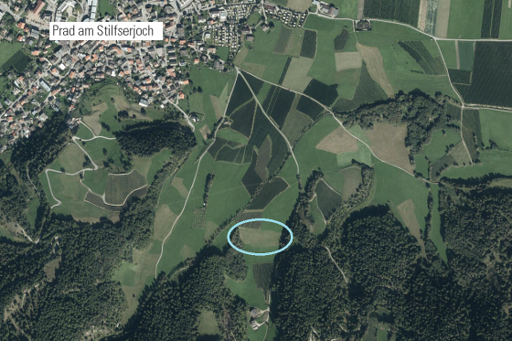 Prad am Stilferjoch: Futterwiese mit ca. 5.950 m² zu verkaufen Prad am Stilferjoch: Futterwiese mit ca. 5.950 m² zu verkaufen