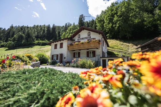 Stilfser Brücke: Wohnhaus mit umliegender Grundfläche zu verkaufen Stilfser Brücke: Wohnhaus mit umliegender Grundfläche zu verkaufen