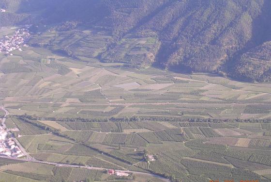 Morter: Obstwiese in guter Lage zu verkaufen Morter: Obstwiese in guter Lage zu verkaufen