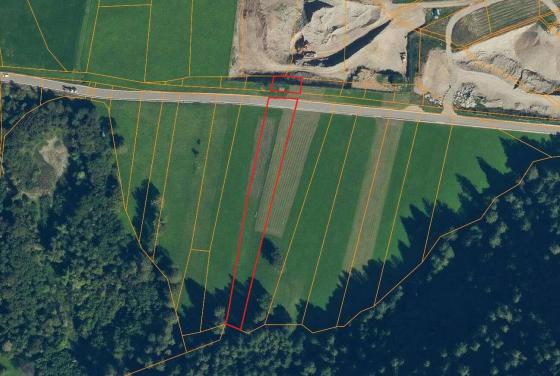 Mals / Laatsch: Wiese mit 3.200 m² zu verkaufen Mals / Laatsch: Wiese mit 3.200 m² zu verkaufen