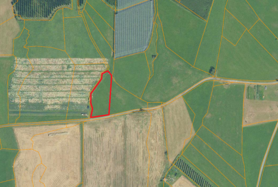 Mals: Landwirtschaftliches Grundstück zu verkaufen Mals: Landwirtschaftliches Grundstück zu verkaufen