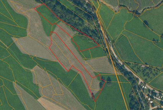 Wiese mit ca. 11.360 m² in Laatsch zu verkaufen Wiese mit ca. 11.360 m² in Laatsch zu verkaufen