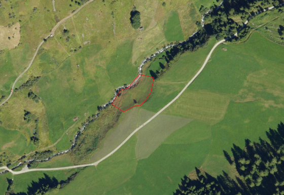 Mals/Planeil: Weide mit ca. 2.400 m² zu verkaufen Mals/Planeil: Weide mit ca. 2.400 m² zu verkaufen