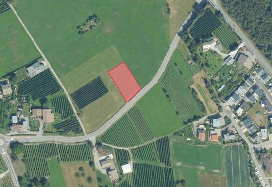 Prad am Stilfserjoch/Agums: Obstwiese mit ca. 1.880 m² zu verkaufen Prad am Stilfserjoch/Agums: Obstwiese mit ca. 1.880 m² zu verkaufen