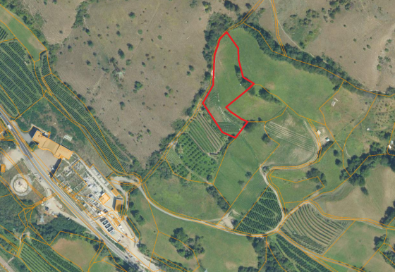 Schluderns: Landwirtschaftliches Grundstück mit ca. 3.950 m² zu verkaufen Schluderns: Landwirtschaftliches Grundstück mit ca. 3.950 m² zu verkaufen