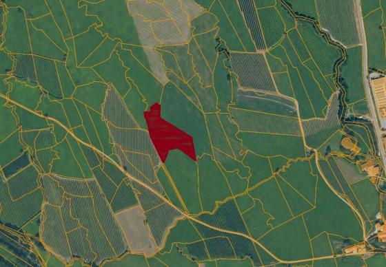 Glurns: Obstbaufähiges Grundstück mit ca. 5.400 m² zu verkaufen Glurns: Obstbaufähiges Grundstück mit ca. 5.400 m² zu verkaufen