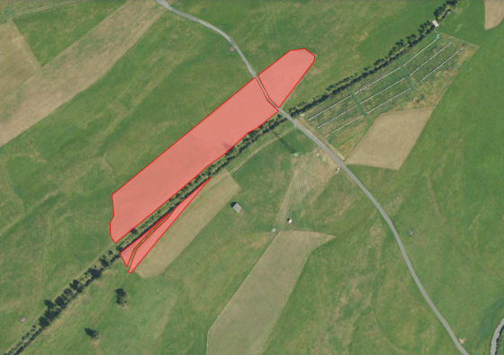 Mals/Alsack: Landwirtschaftliches Grundstück mit ca. 10.600 m² zu verkaufen Mals/Alsack: Landwirtschaftliches Grundstück mit ca. 10.600 m² zu verkaufen