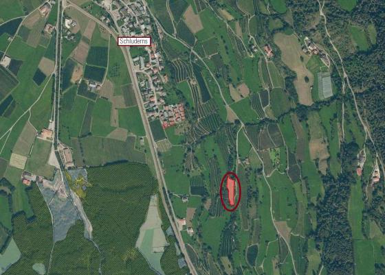 Wiese oberhalb von Schluderns zu verkaufen Wiese oberhalb von Schluderns zu verkaufen