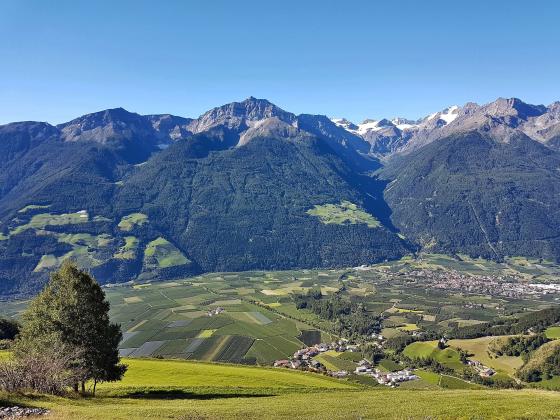 Eyrs: Baugrund in einer sehr sonnigen Lage zu verkaufen Eyrs: Baugrund in einer sehr sonnigen Lage zu verkaufen