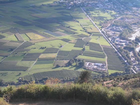 Eyrs: Obstwiese mit 3.800 m² zu verkaufen Eyrs: Obstwiese mit 3.800 m² zu verkaufen