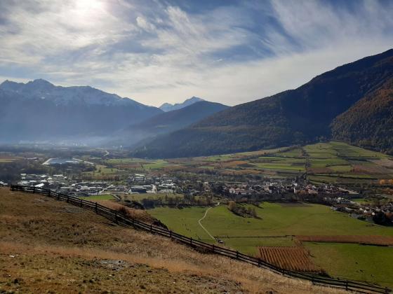 Glurns: Obstbaufähige Wiese mit ca. 7.800 m² zu verkaufen