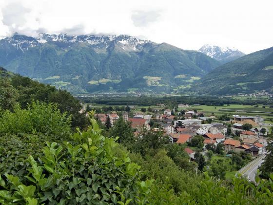 Große Obstwiese in Schluderns zu verkaufen Große Obstwiese in Schluderns zu verkaufen
