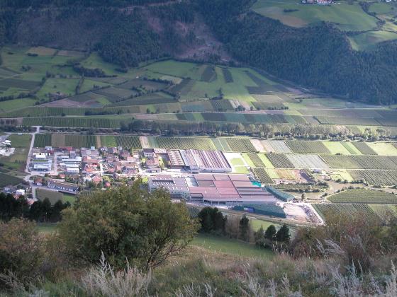 Laas: obstbaufähige Wiese mit 3.800 m² zu verkaufen Laas: obstbaufähige Wiese mit 3.800 m² zu verkaufen