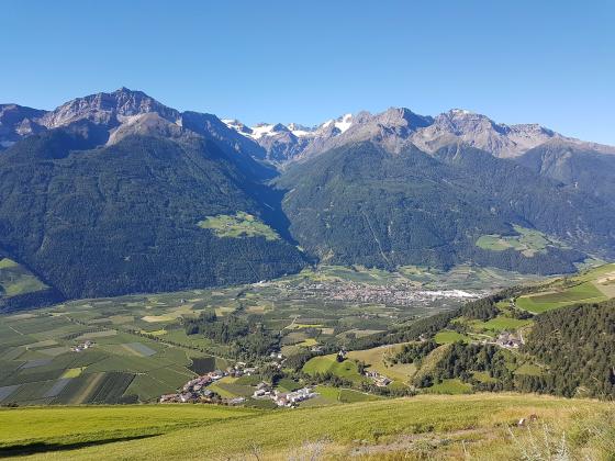 Laas: Obstwiese mit 3.000 m² zu verkaufen Laas: Obstwiese mit 3.000 m² zu verkaufen