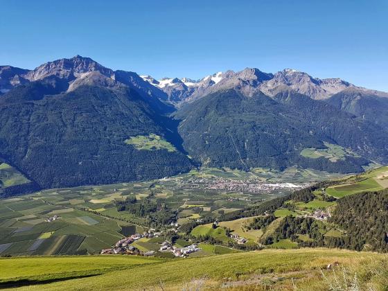 Laas: Obstwiese mit ca. 11.300 m² zu verkaufen Laas: Obstwiese mit ca. 11.300 m² zu verkaufen