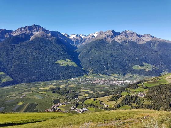 Laas: Obstwiese mit ca. 3.900 m² zu verkaufen Laas: Obstwiese mit ca. 3.900 m² zu verkaufen