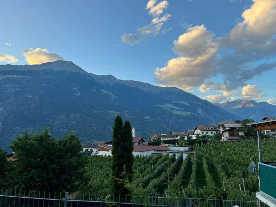 Latsch/Tarsch: Vermietete 2-Zimmerwohnung mit Terrasse und Keller zu verkaufen