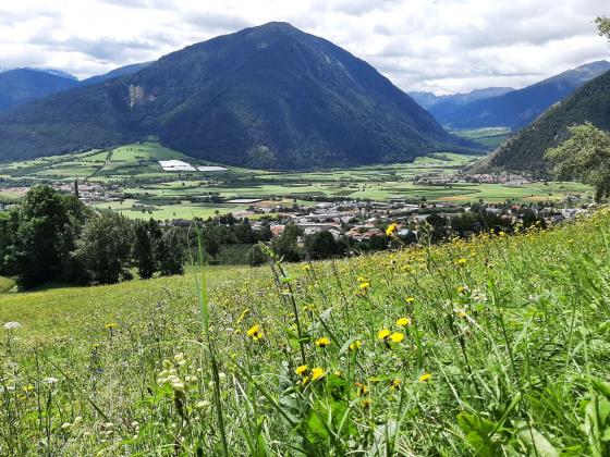 Mals: Landwirtschaftliches Grundstück mit ca. 6.200 m² zu verkaufen Mals: Landwirtschaftliches Grundstück mit ca. 6.200 m² zu verkaufen