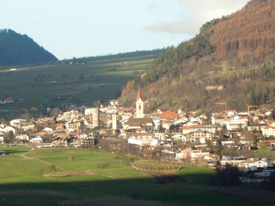 Mals: Wiese zwischen Mals und Burgeis zu verkaufen Mals: Wiese zwischen Mals und Burgeis zu verkaufen