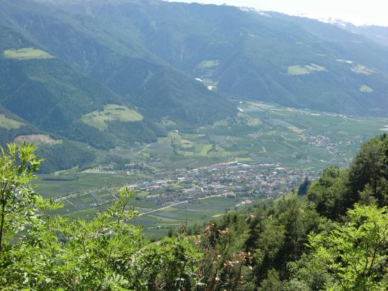 Naturns: Bio - Obstwiese mit 8.000 m² zu verkaufen Naturns: Bio - Obstwiese mit 8.000 m² zu verkaufen