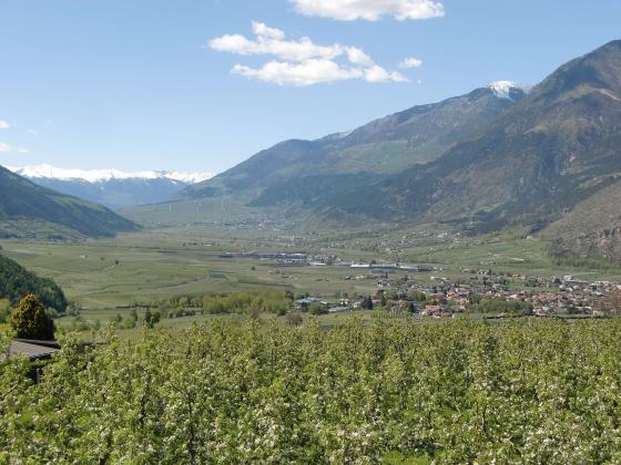Obstwiese mit 7.500 m² in Goldrain zu verkaufen Blick von Tarsch auf das Gemeindegebiet von Schlanders