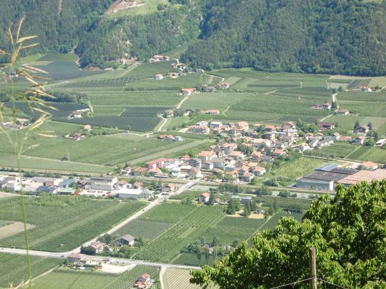 Plaus: 5,3 ha Biozertifizierte Grundstücke zu verkaufen Plaus: 5,3 ha Biozertifizierte Grundstücke zu verkaufen