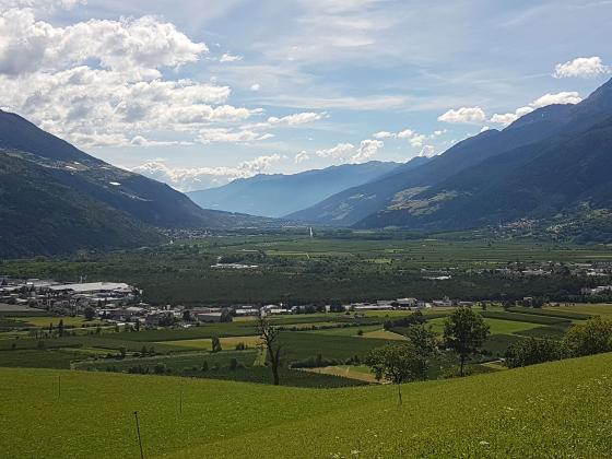Prad am Stilfserjoch: Wiese in unmittelbarer Dorfnähe zu verkaufen Prad am Stilfserjoch: Wiese in unmittelbarer Dorfnähe zu verkaufen