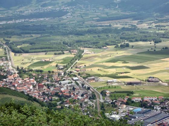 Schluderns: Auwald mit ca. 3.700 m² zu verkaufen Schluderns: Auwald mit ca. 3.700 m² zu verkaufen