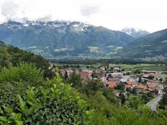 Schluderns: Landwirtschaftliches Grundstück mit ca. 4.300 m² zu verkaufen Schluderns: Landwirtschaftliches Grundstück mit ca. 4.300 m² zu verkaufen