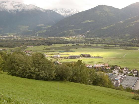 Schluderns: Wiese für Weinanbau zu verkaufen Schluderns: Wiese für Weinanbau zu verkaufen