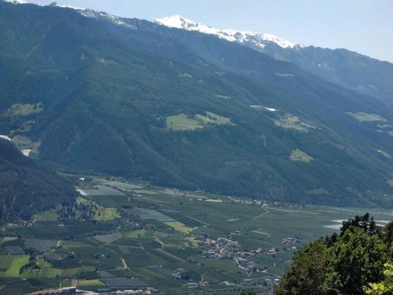 Tabland: Obstwiese mit ca. 1.750 m² zu verkaufen Tabland: Obstwiese mit ca. 1.750 m² zu verkaufen