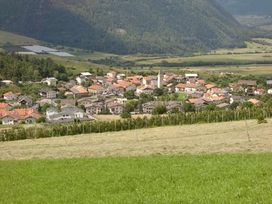 Tartsch: Obstbaufähige Wiese oberhalb des Dorfes zu verkaufen Tartsch: Obstbaufähige Wiese oberhalb des Dorfes zu verkaufen