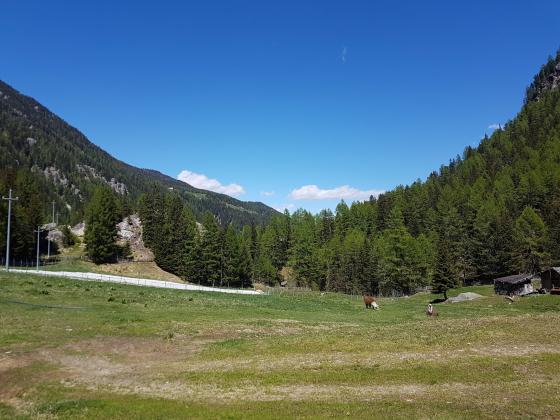 Vinschgau/Martelltal: Grundstück in Tourismuszone zu verkaufen Vinschgau/Martelltal: Grundstück in Tourismuszone zu verkaufen