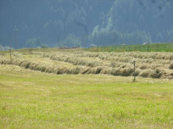 Wiese in der Nähe von Ulten bei Mals zu verkaufen Wiese in der Nähe von Ulten bei Mals zu verkaufen